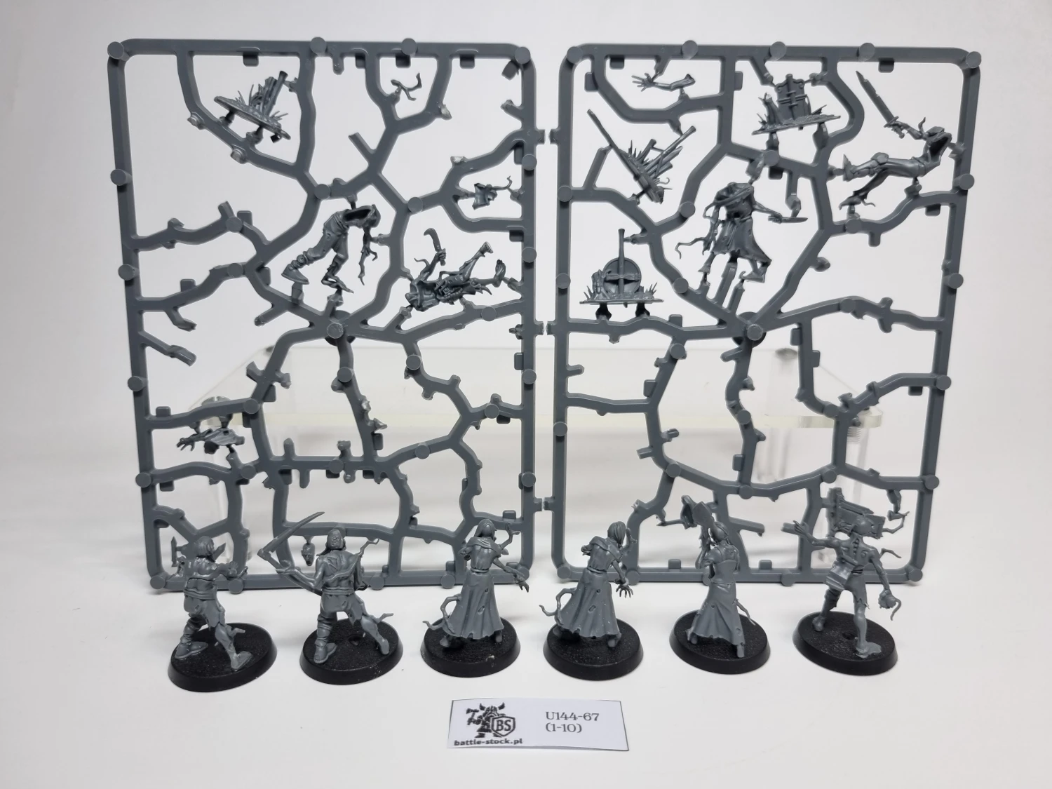 AoS Deadwalker Zombies (brak pojedynczych główek)