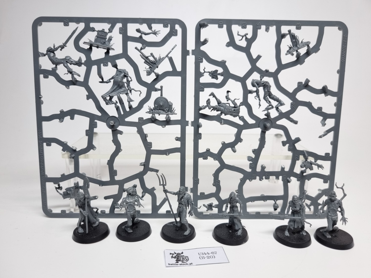 AoS Deadwalker Zombies (brak pojedynczych główek)