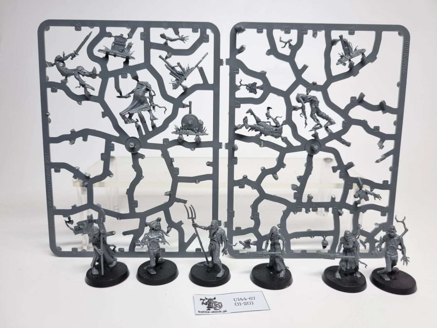 AoS Deadwalker Zombies (brak pojedynczych główek)