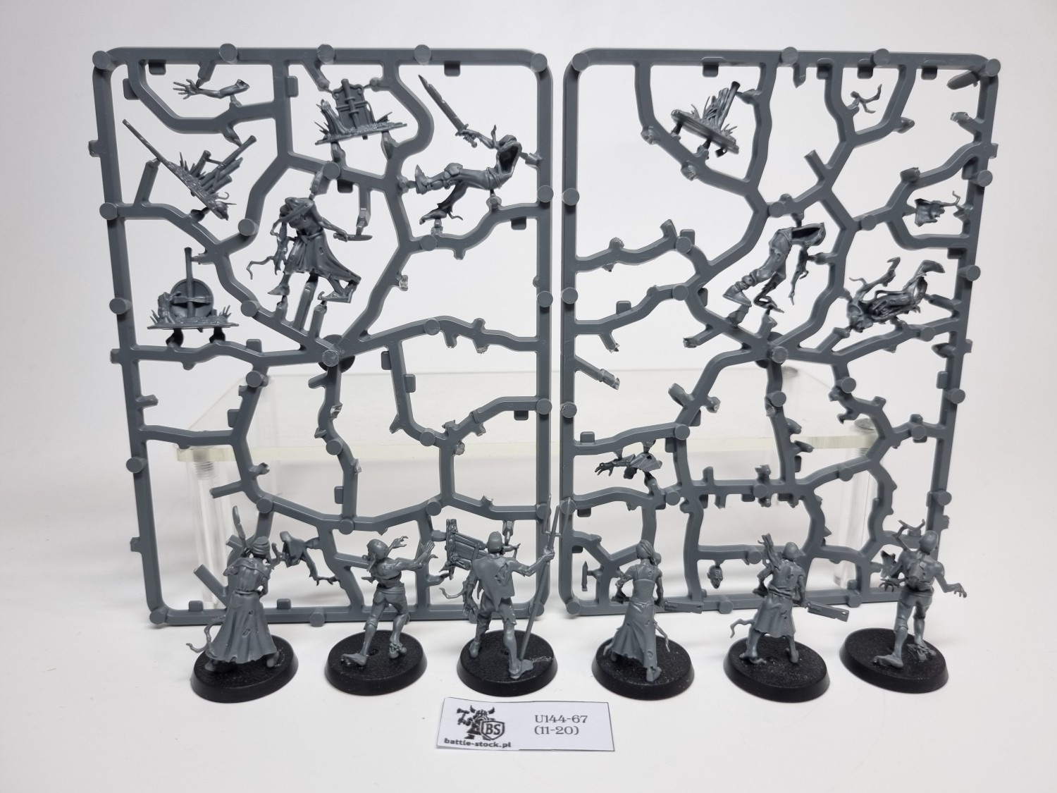 AoS Deadwalker Zombies (brak pojedynczych główek)