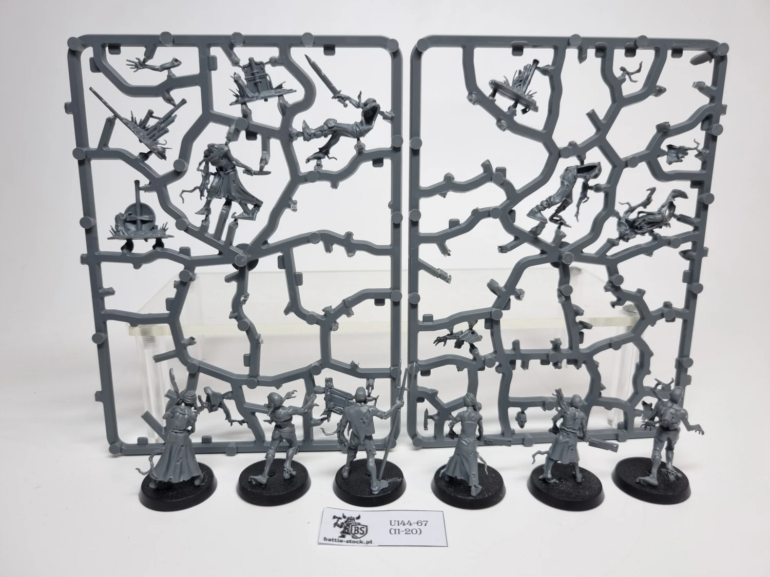 AoS Deadwalker Zombies (brak pojedynczych główek)