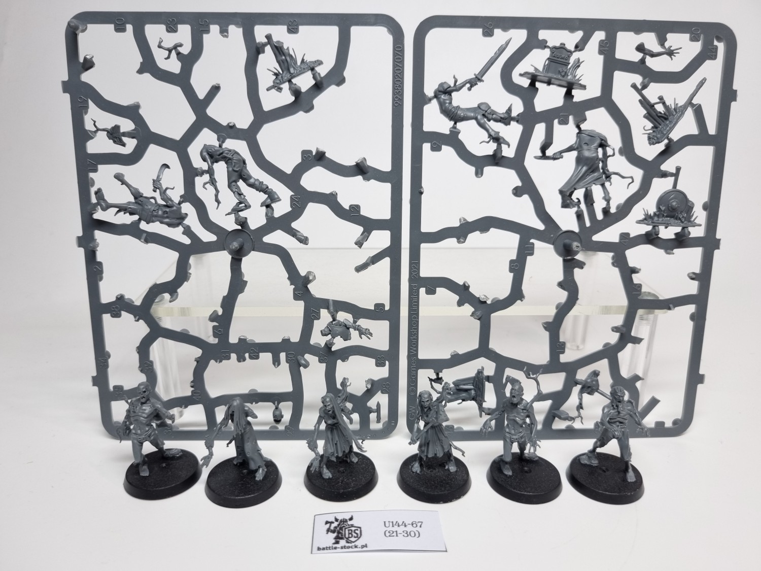 AoS Deadwalker Zombies (brak pojedynczych główek)