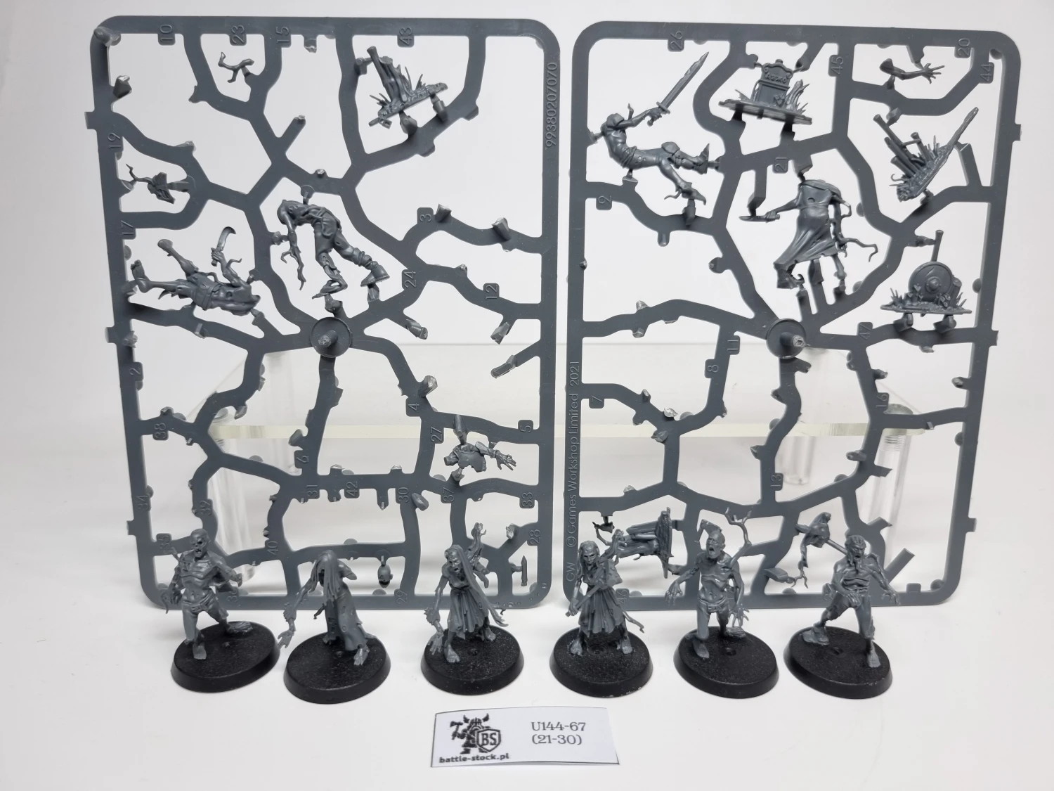 AoS Deadwalker Zombies (brak pojedynczych główek)