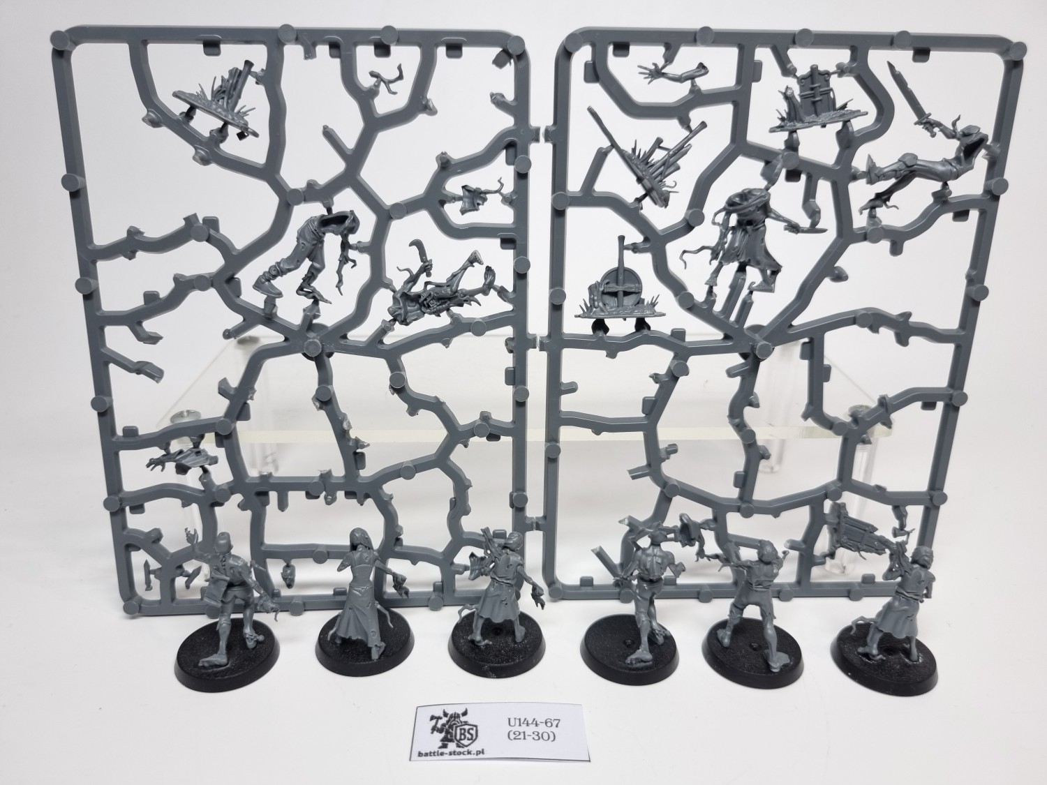 AoS Deadwalker Zombies (brak pojedynczych główek)