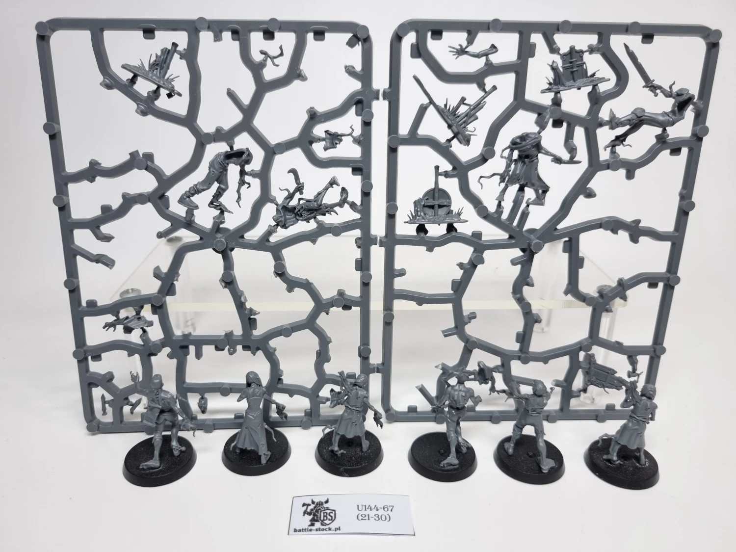 AoS Deadwalker Zombies (brak pojedynczych główek)