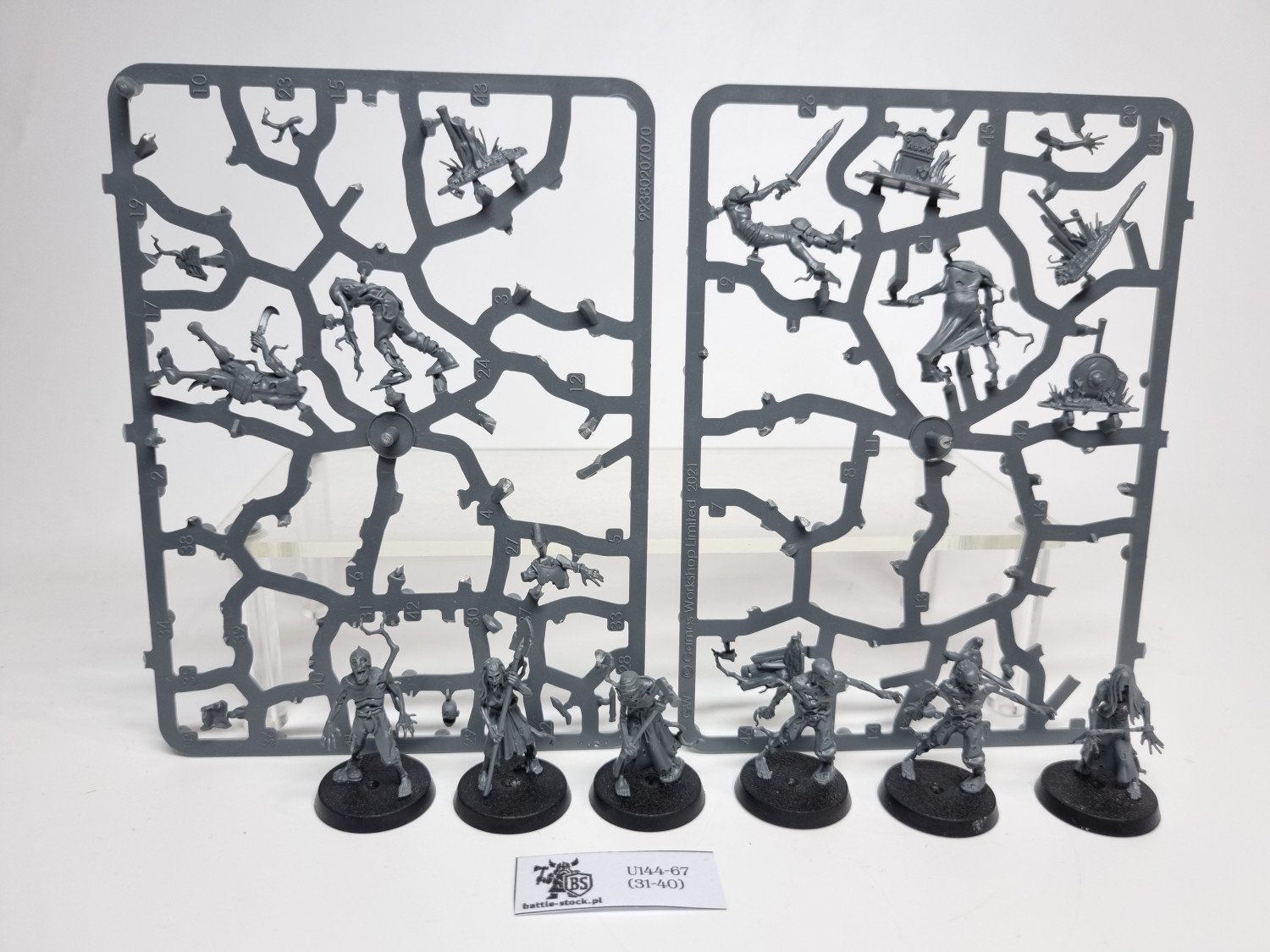 AoS Deadwalker Zombies (brak pojedynczych główek)