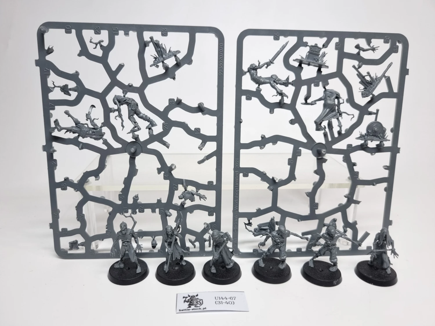 AoS Deadwalker Zombies (brak pojedynczych główek)