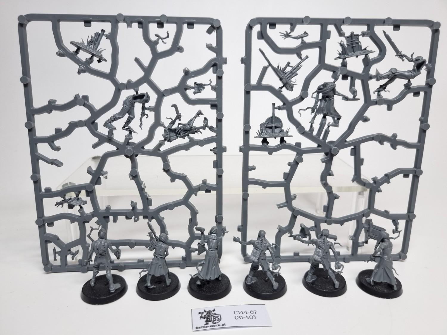AoS Deadwalker Zombies (brak pojedynczych główek)