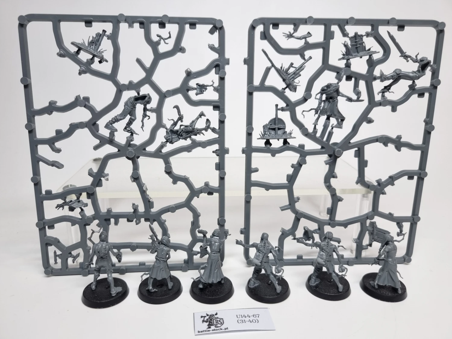 AoS Deadwalker Zombies (brak pojedynczych główek)