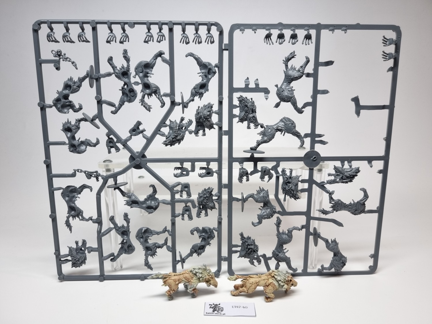 dire wolves OOP
