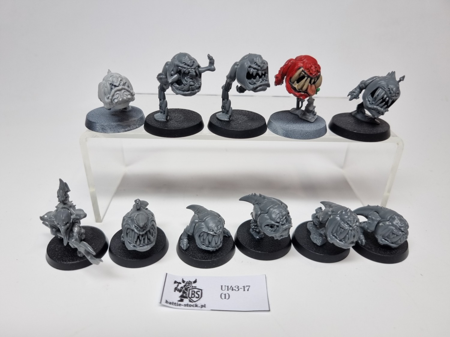 squig herd zestaw