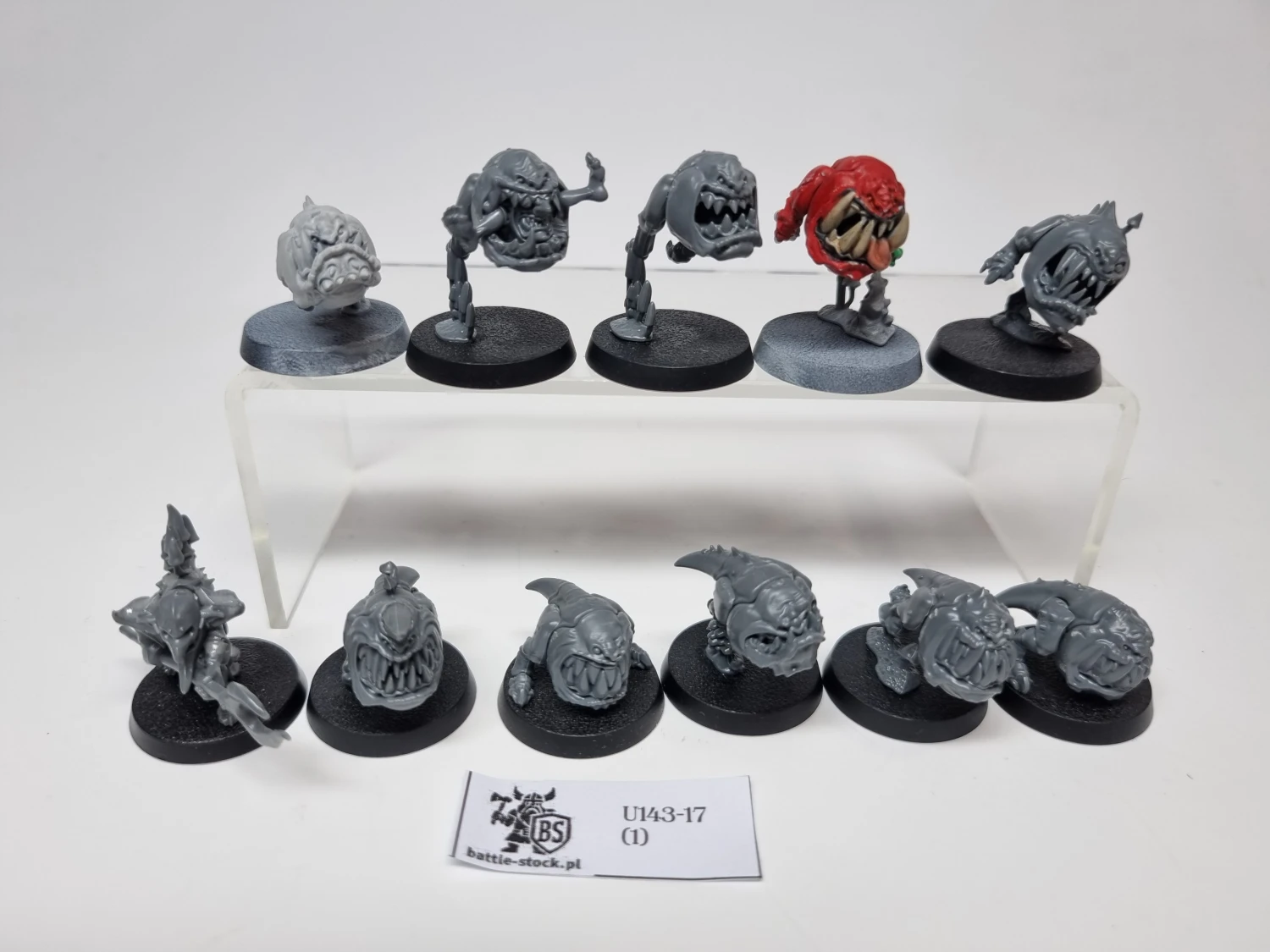 squig herd zestaw