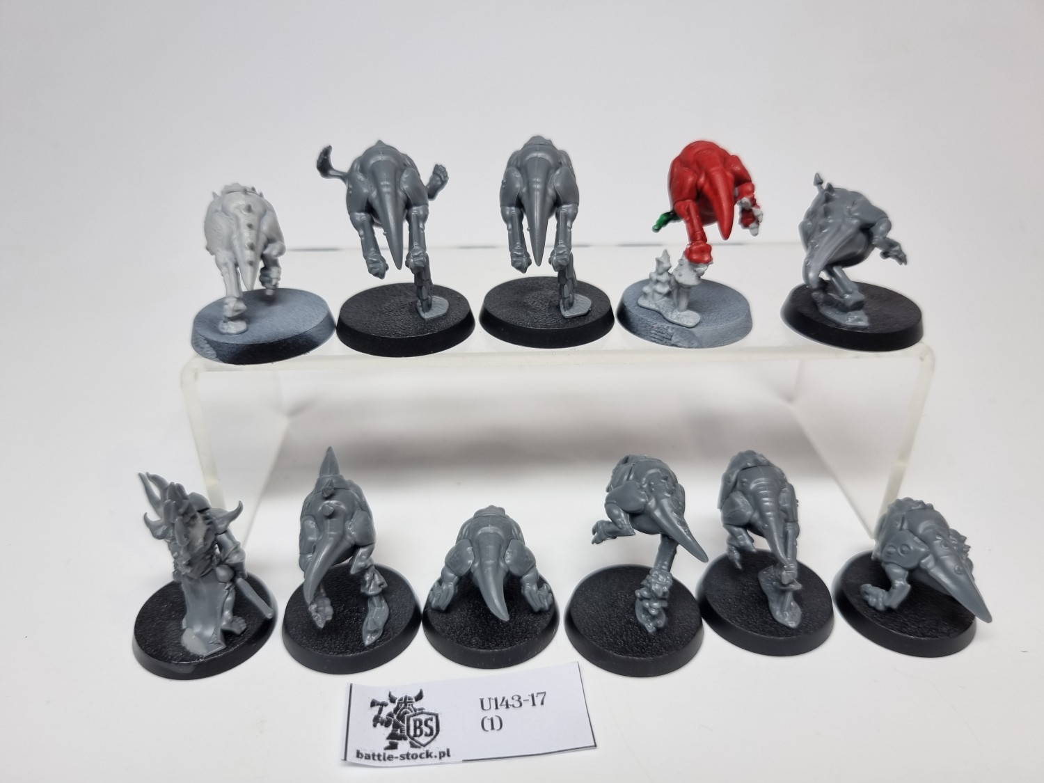 squig herd zestaw