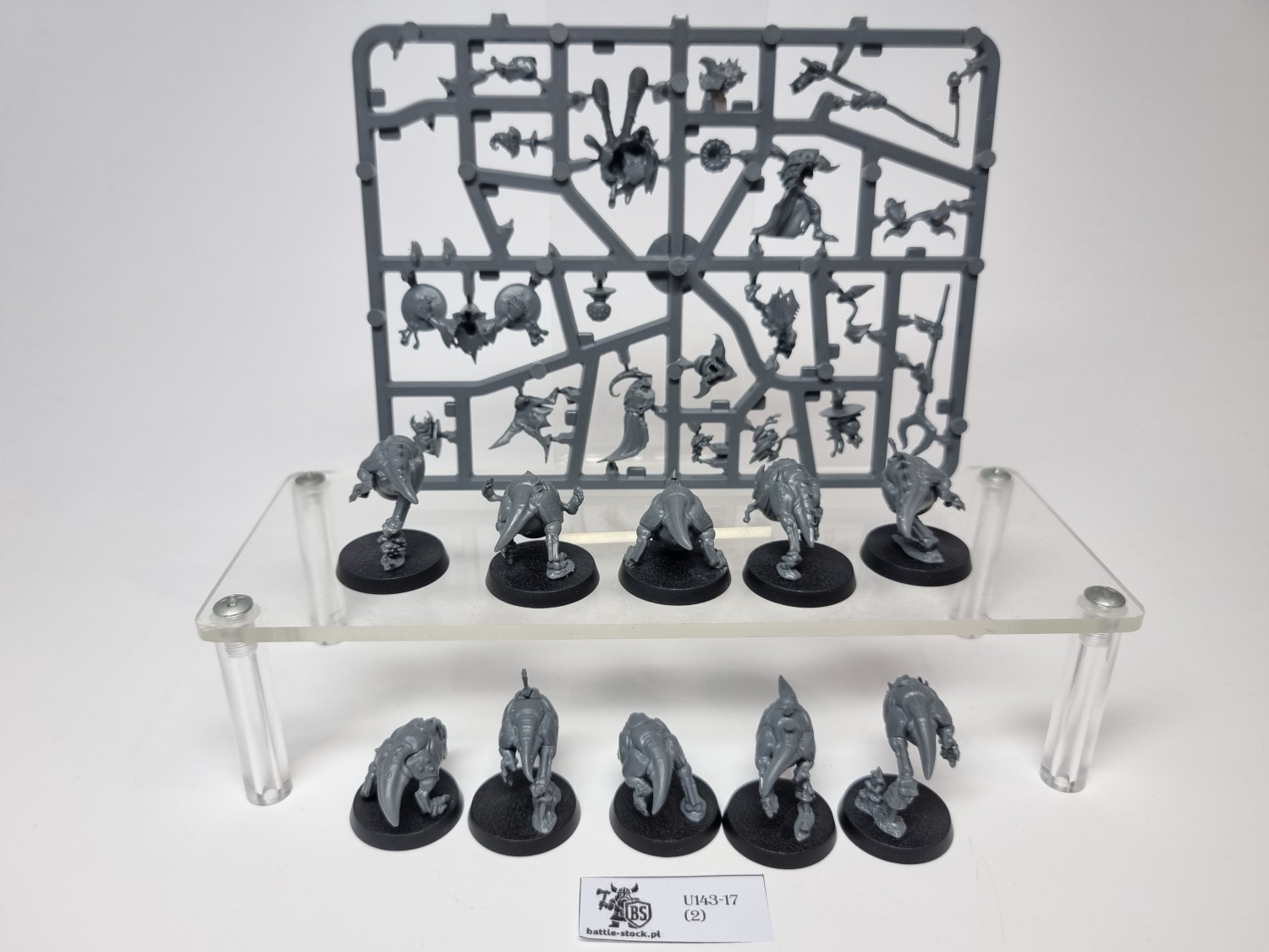 squig herd zestaw