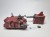 looted rhino