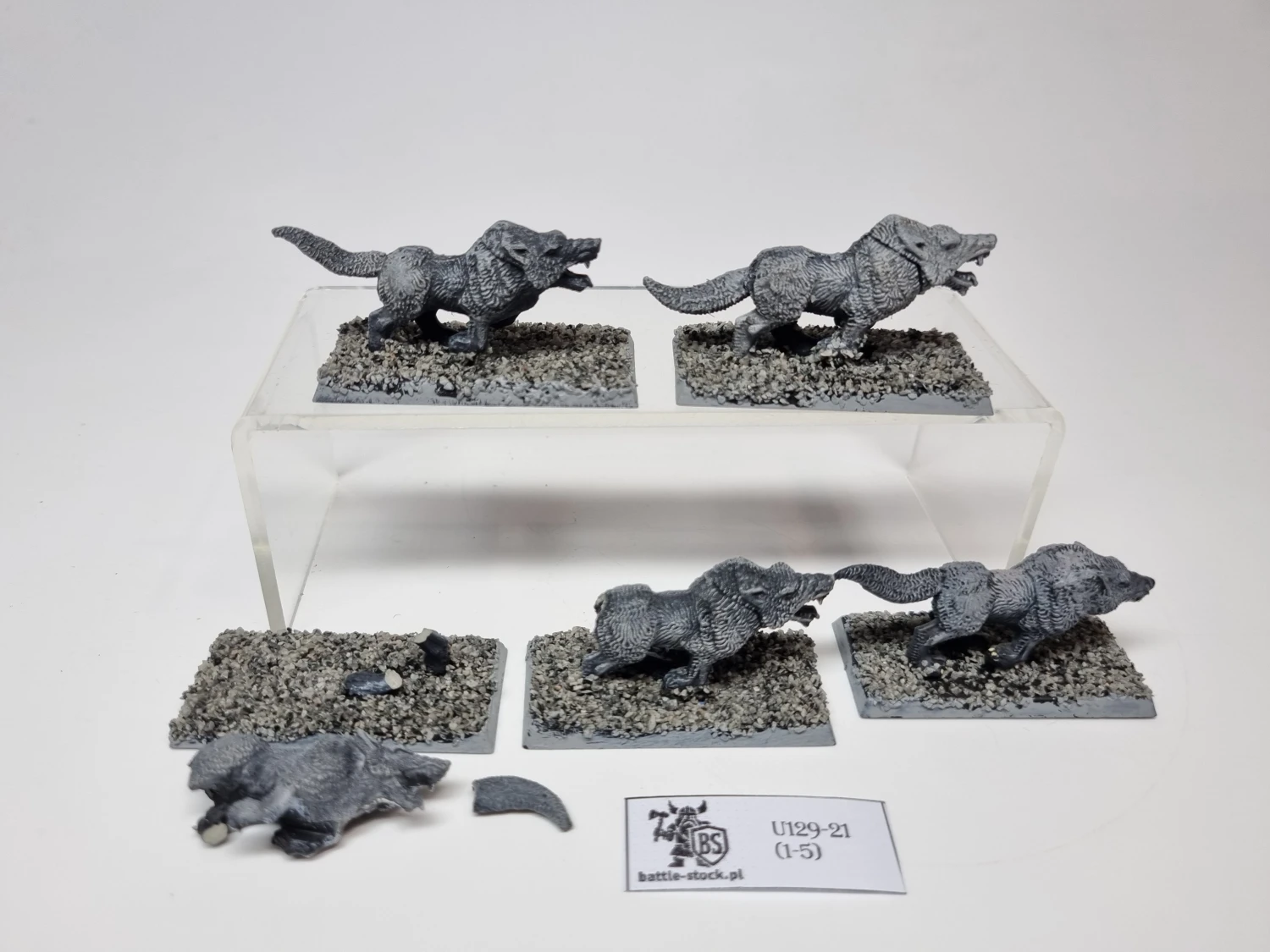 wilki / wolves