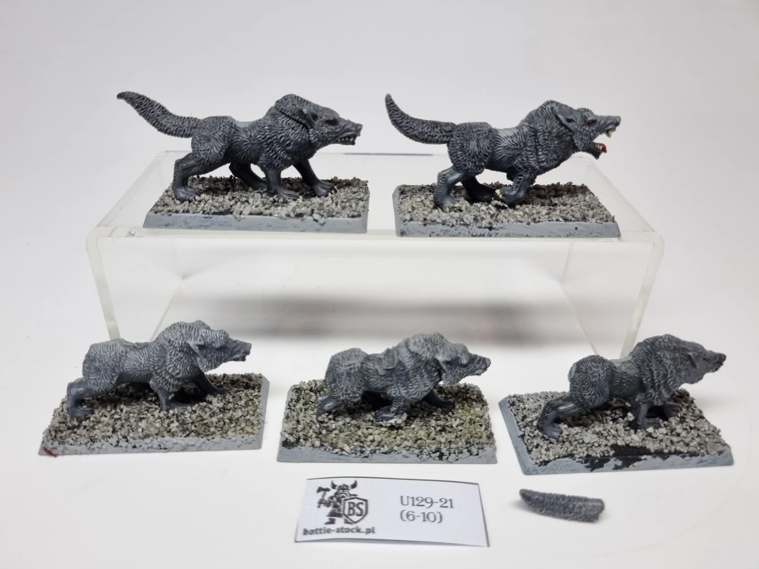 wilki / wolves