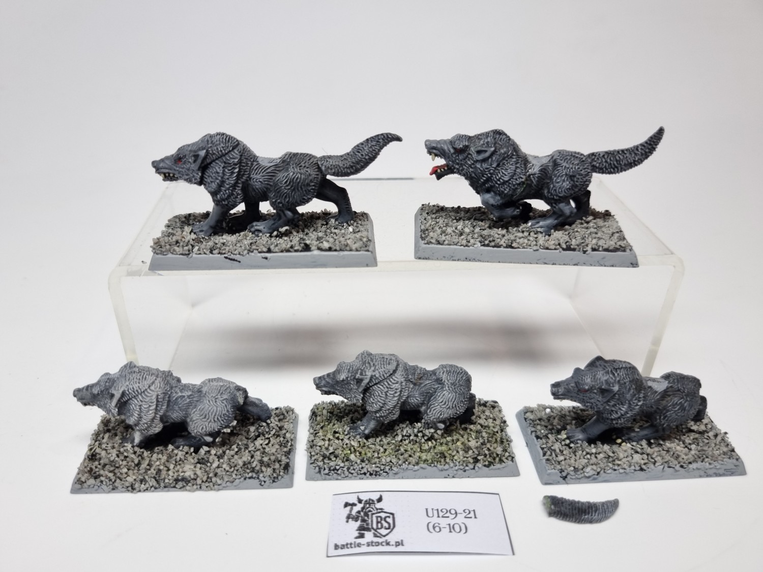 wilki / wolves