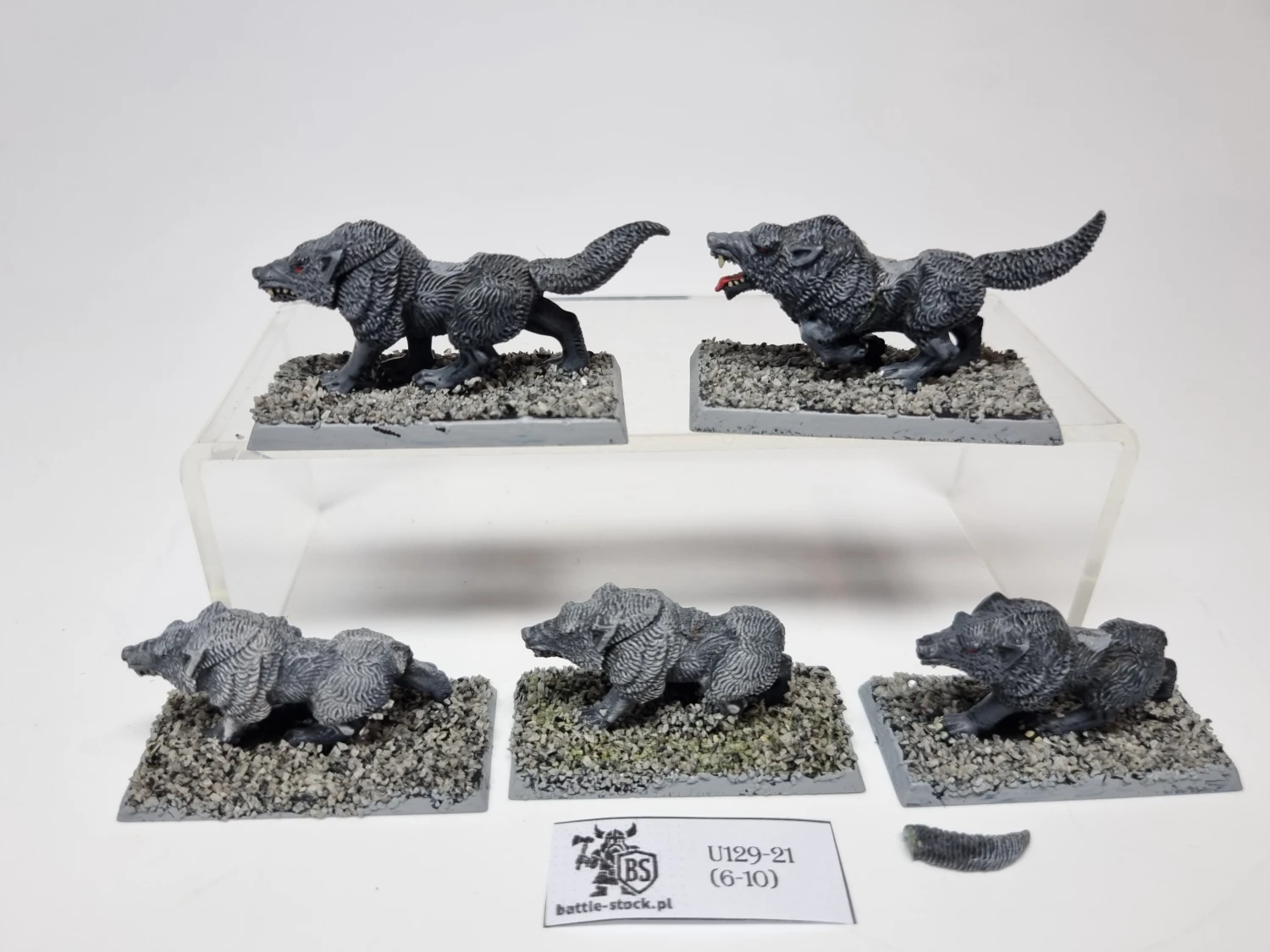 wilki / wolves