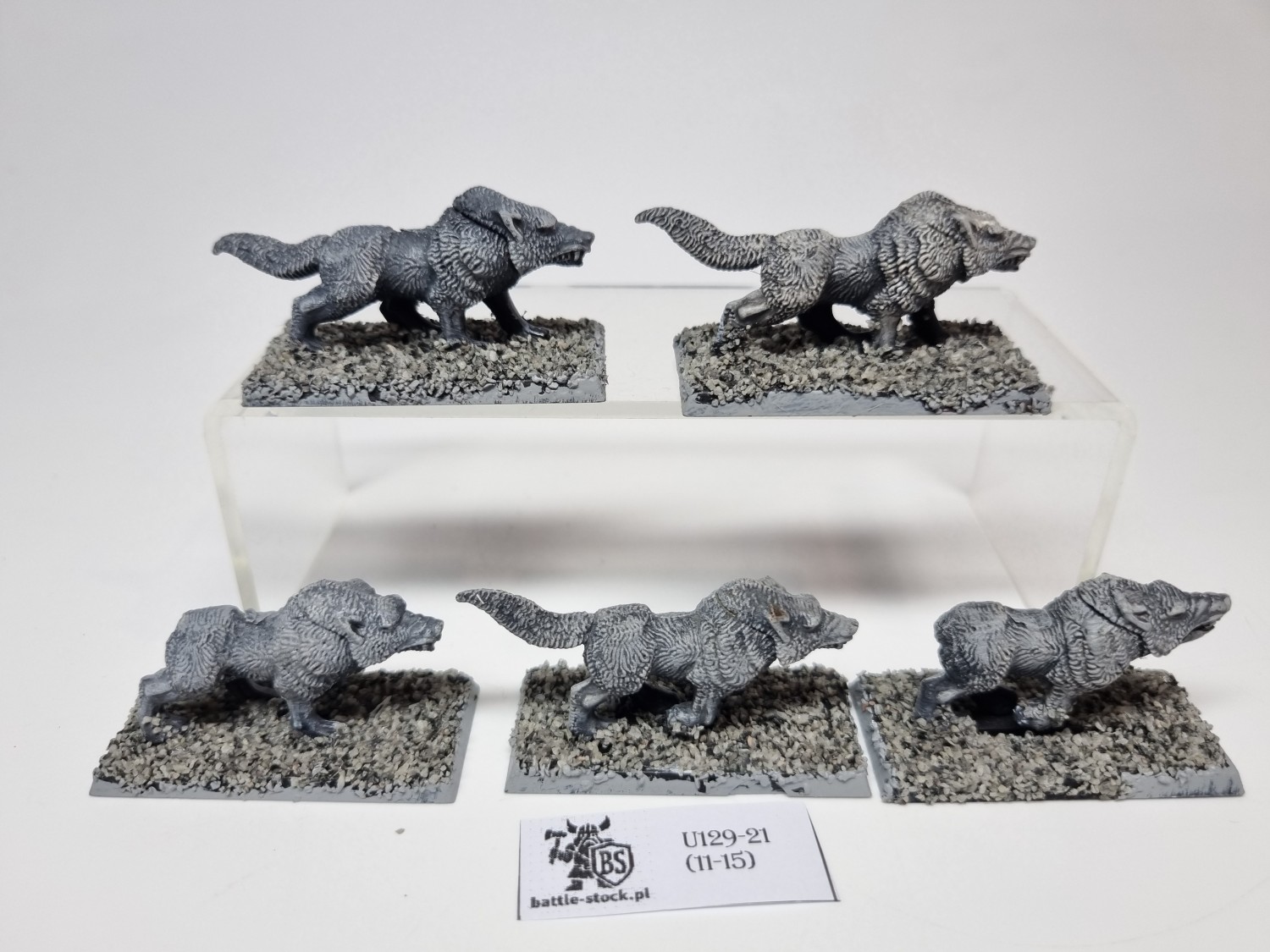 wilki / wolves