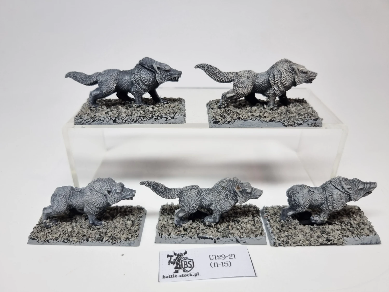 wilki / wolves