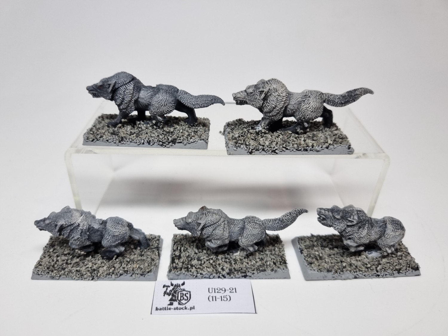 wilki / wolves