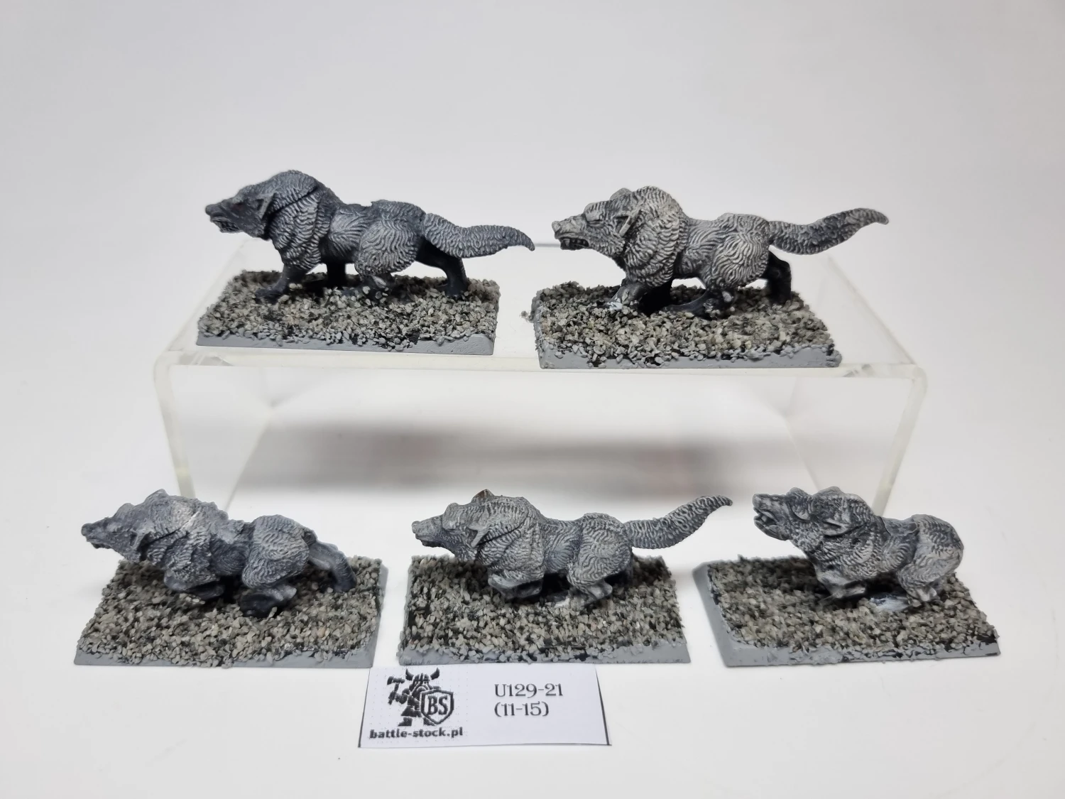 wilki / wolves
