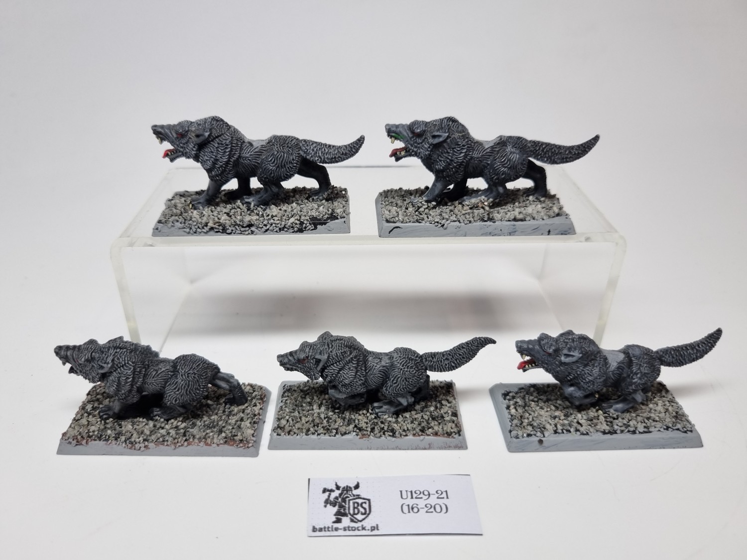 wilki / wolves