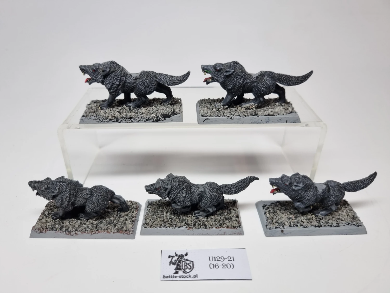 wilki / wolves