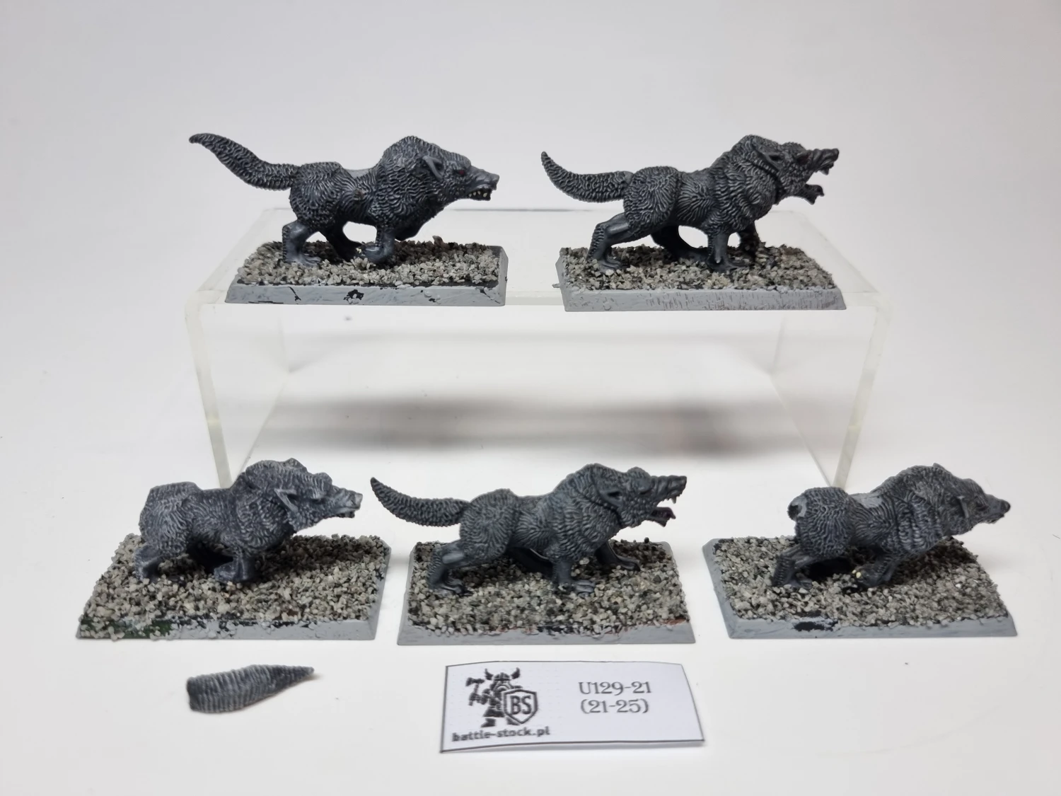 wilki / wolves
