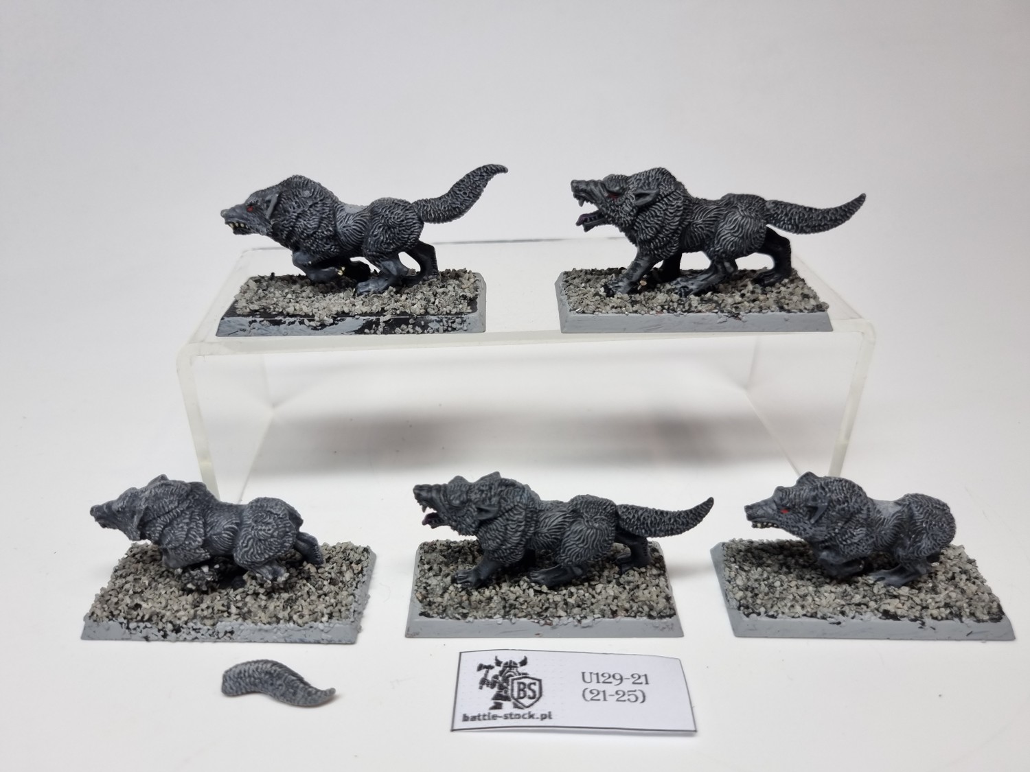 wilki / wolves