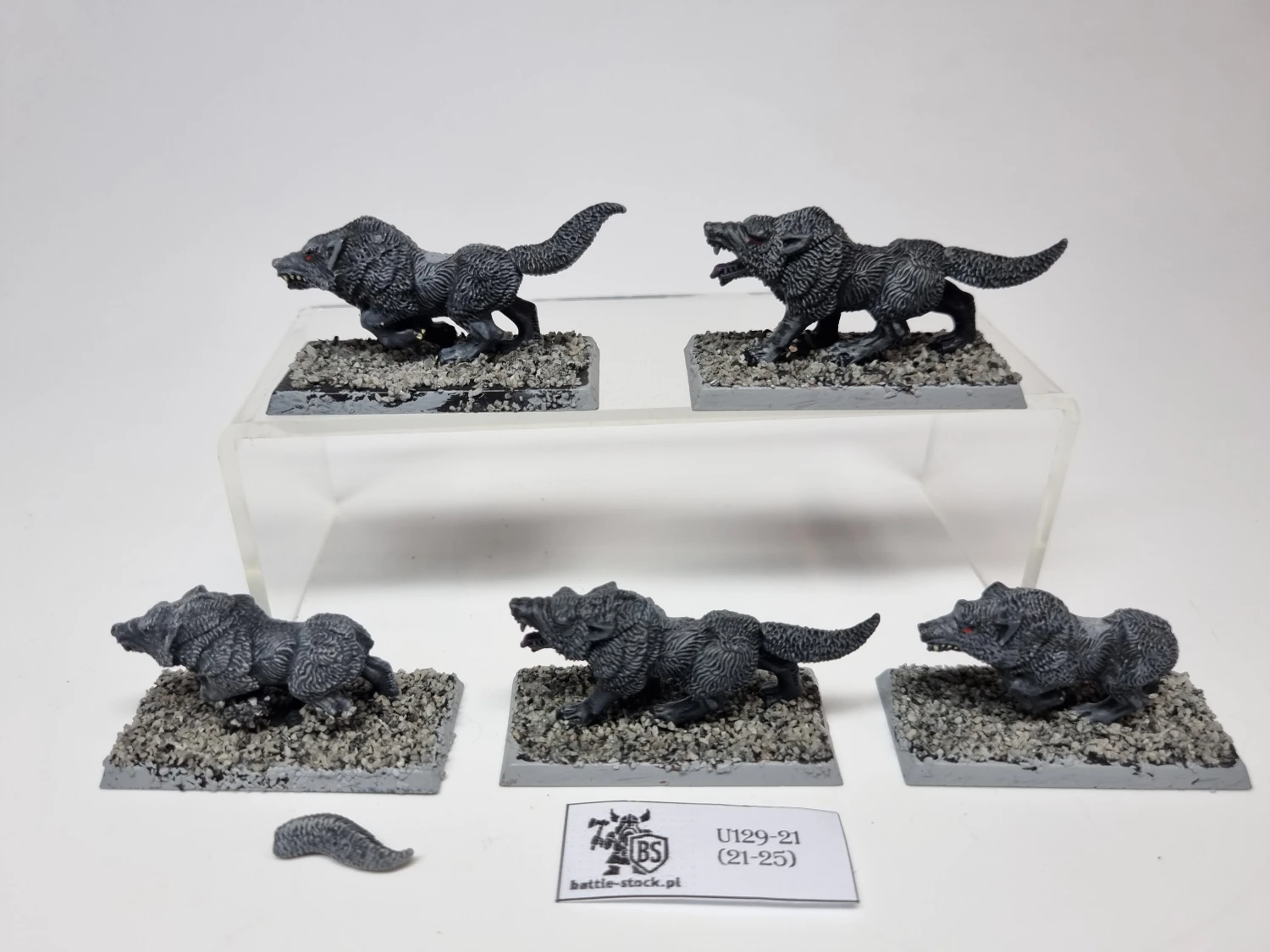 wilki / wolves