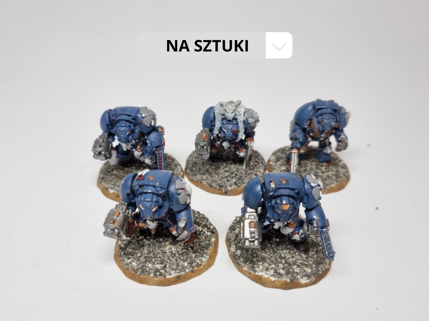 SW wolf guard terminator metal