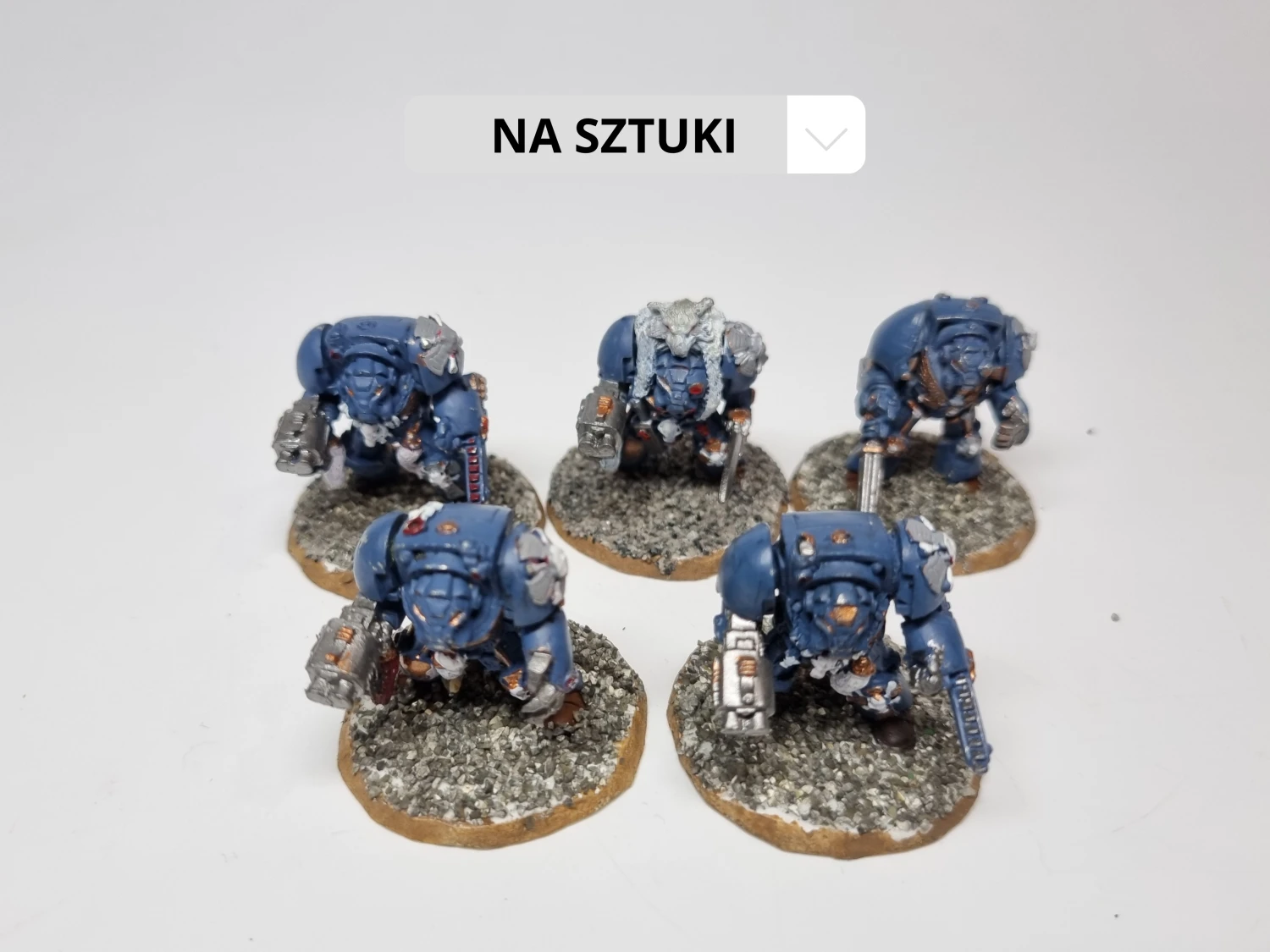 SW wolf guard terminator metal