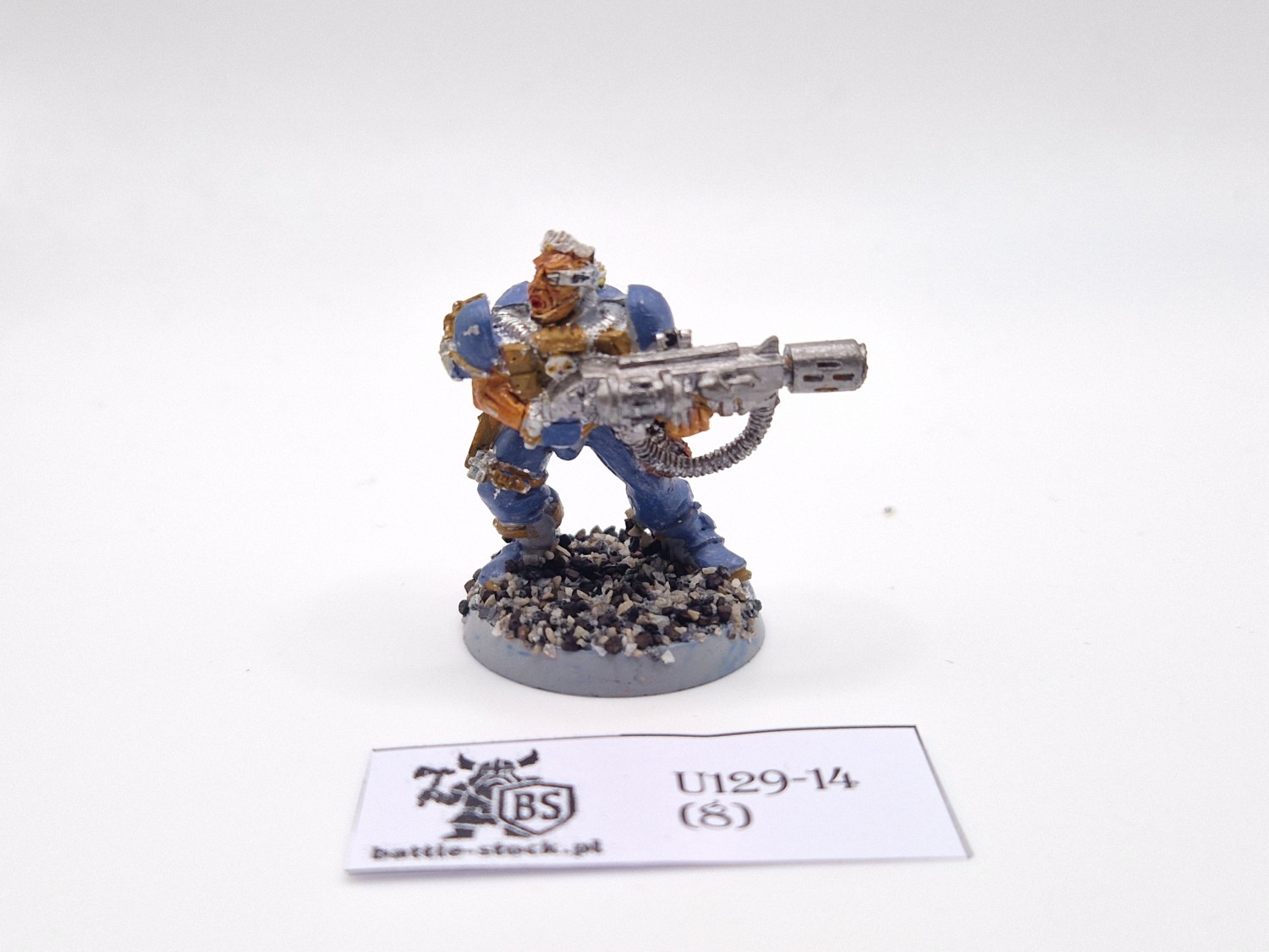SW wolf scout