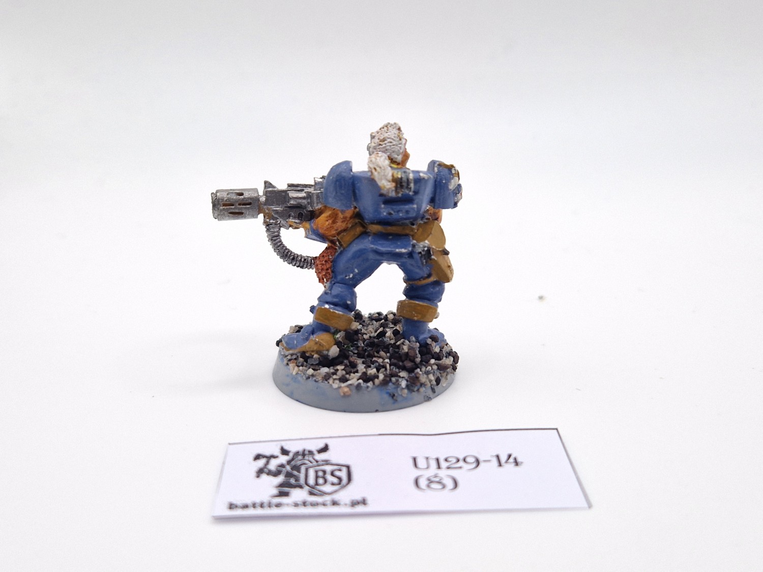SW wolf scout