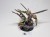 nurgle daemon prince konwersja