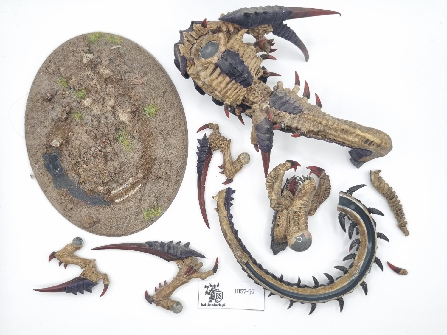 trygon