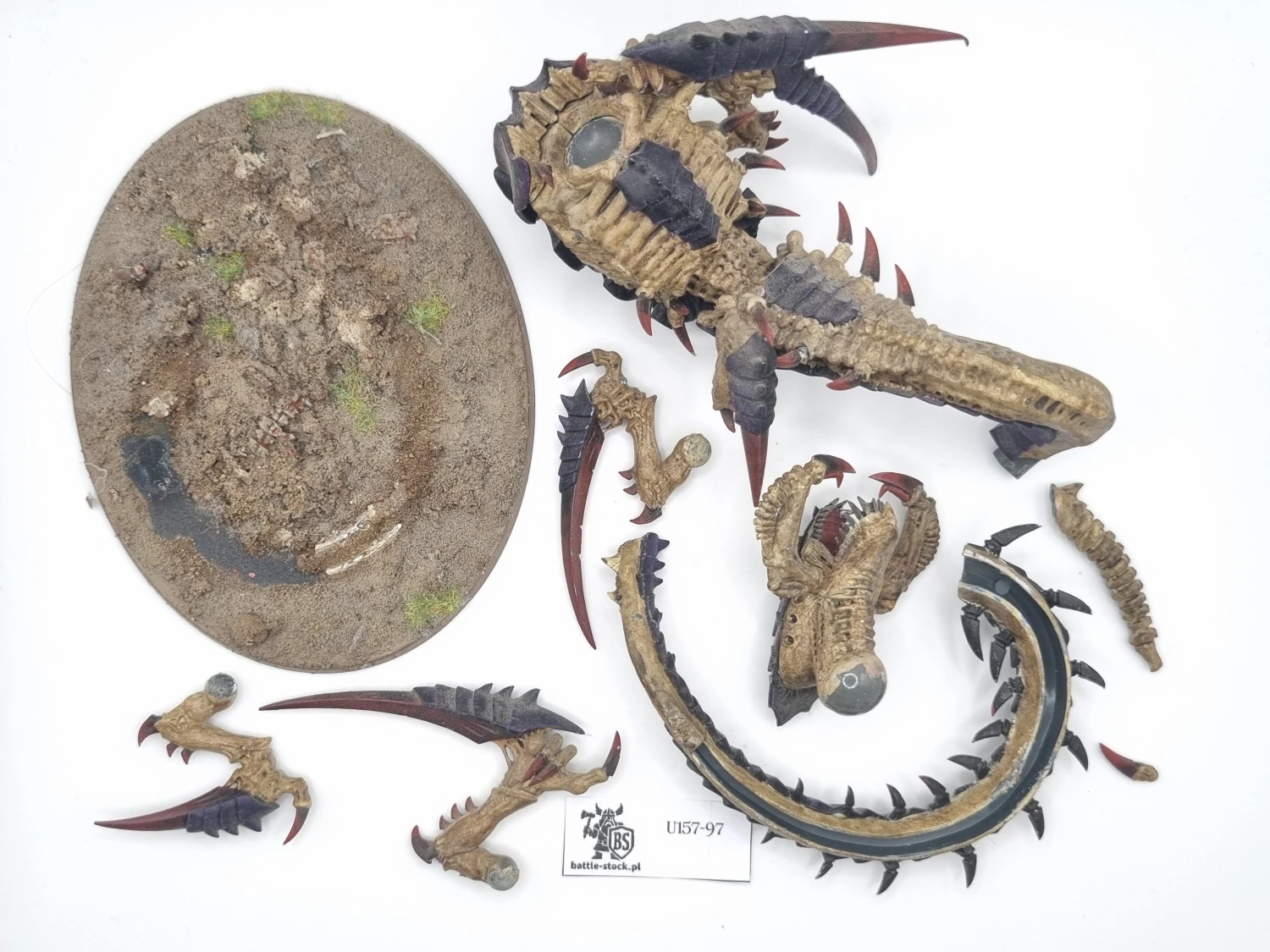 trygon