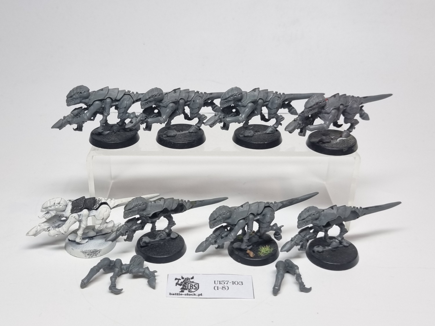 termagants