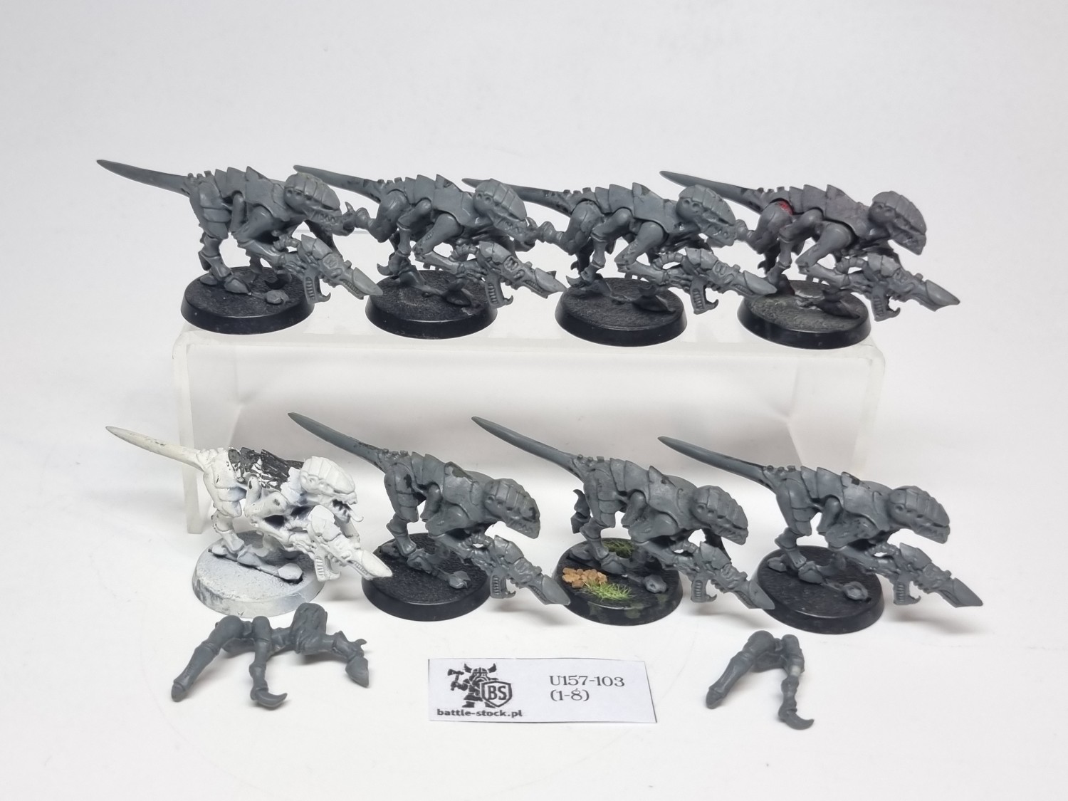 termagants