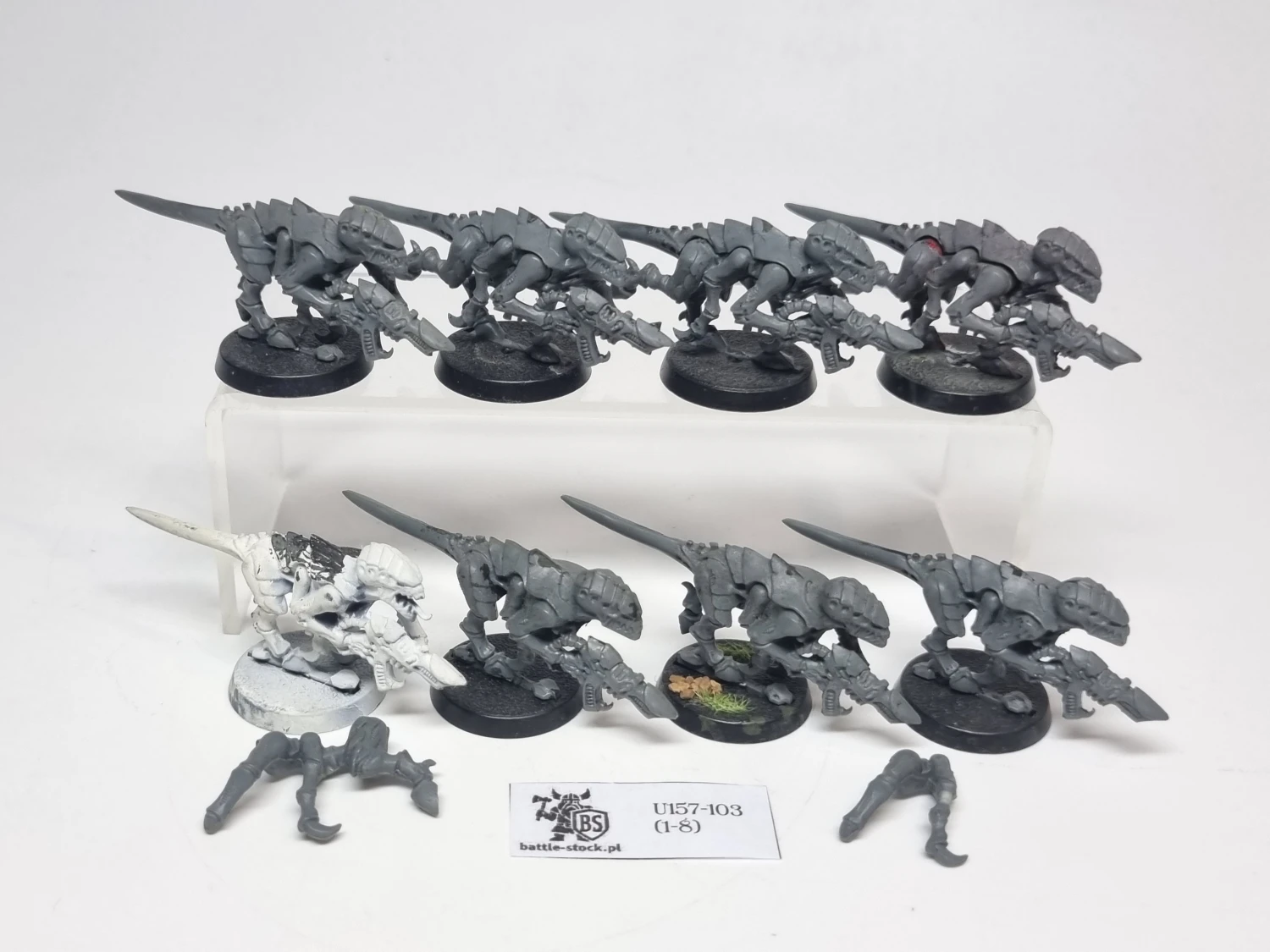 termagants