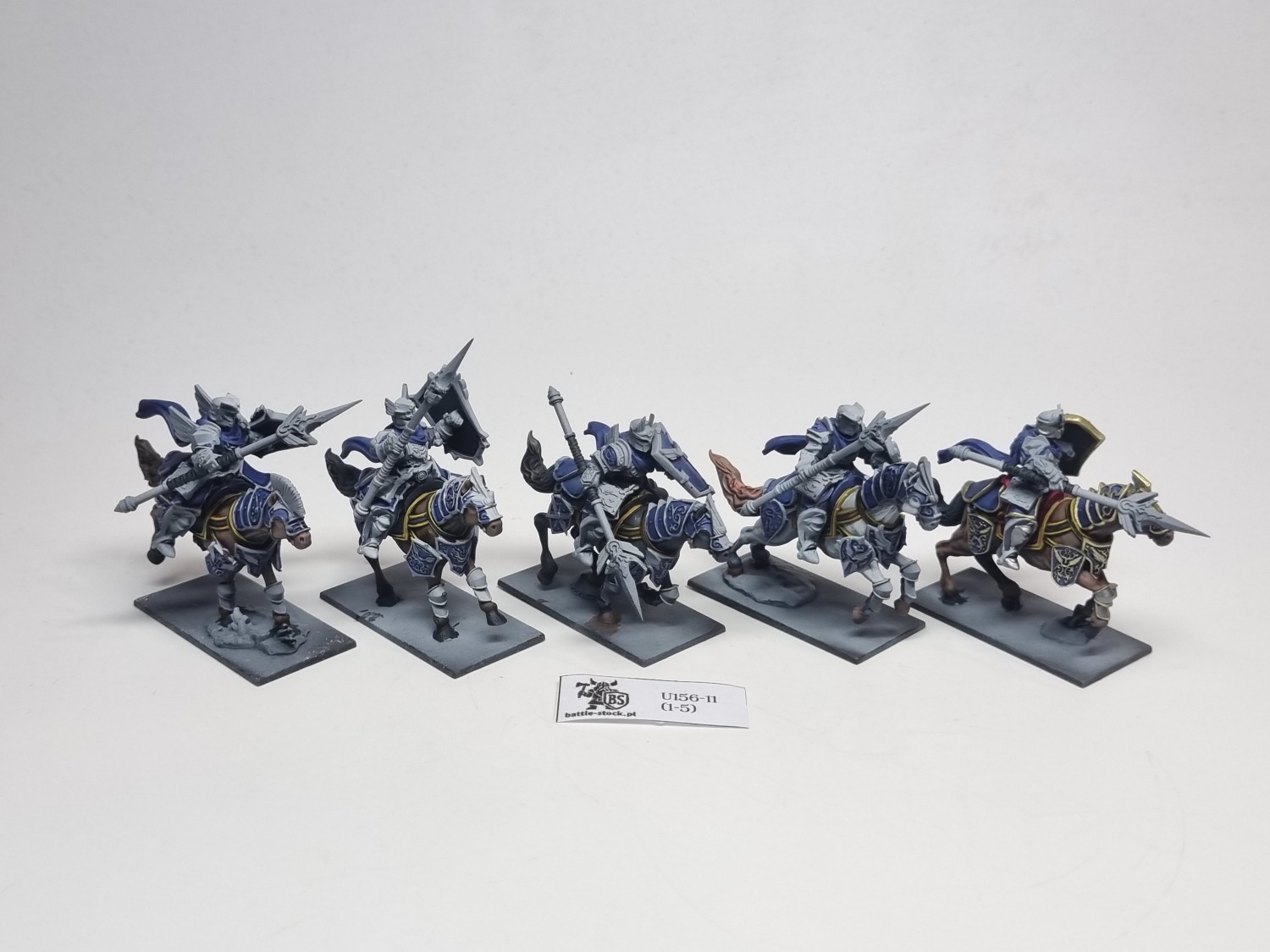 basilean paladin knights regiment