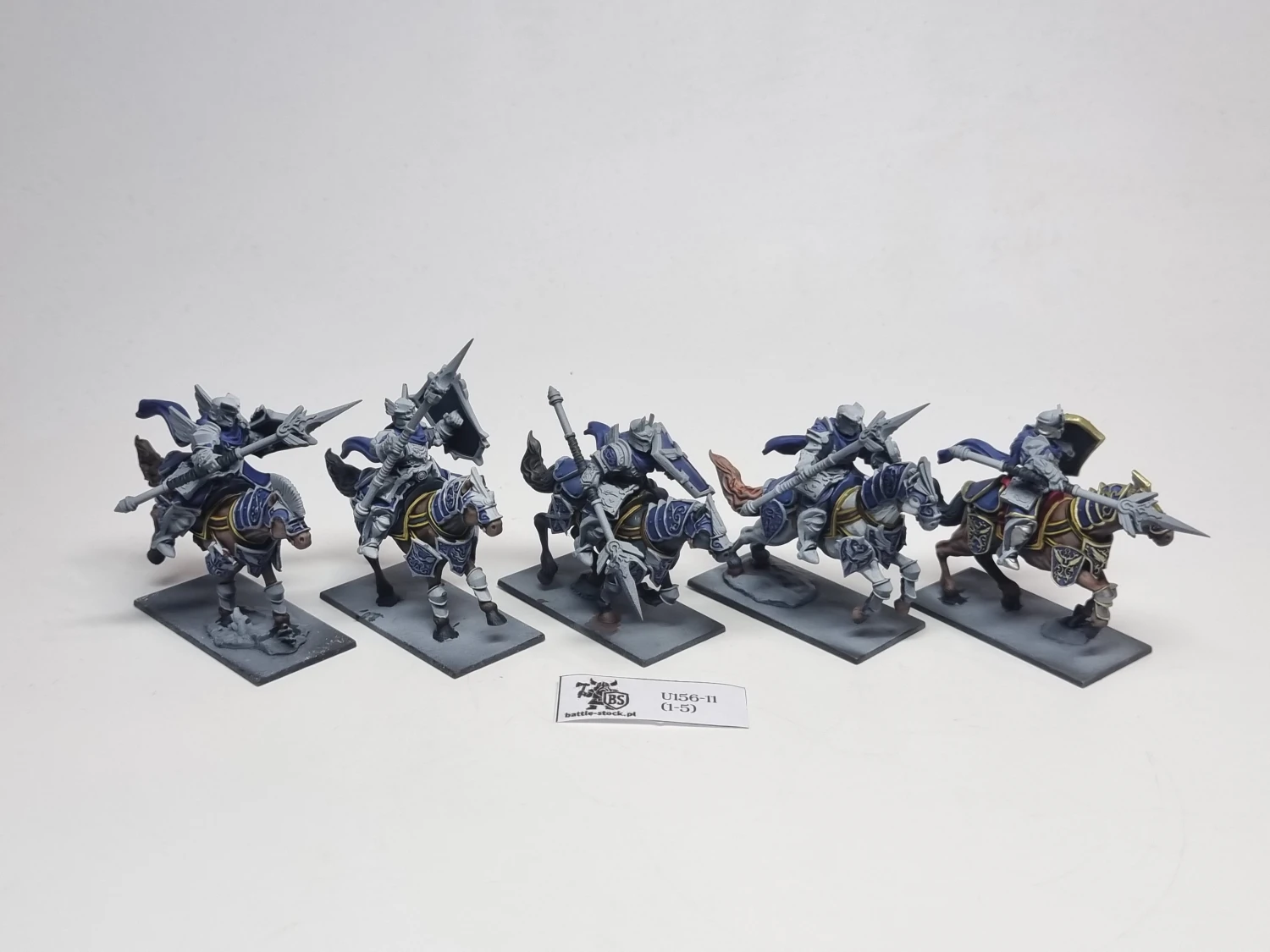 basilean paladin knights regiment
