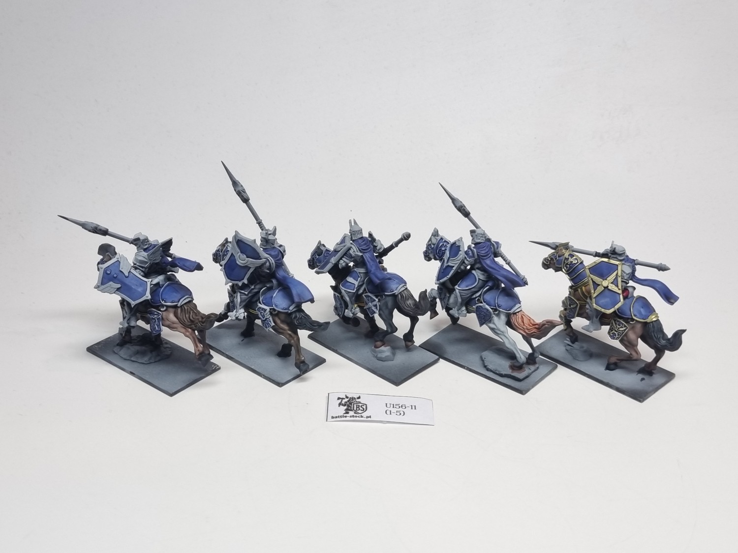 basilean paladin knights regiment