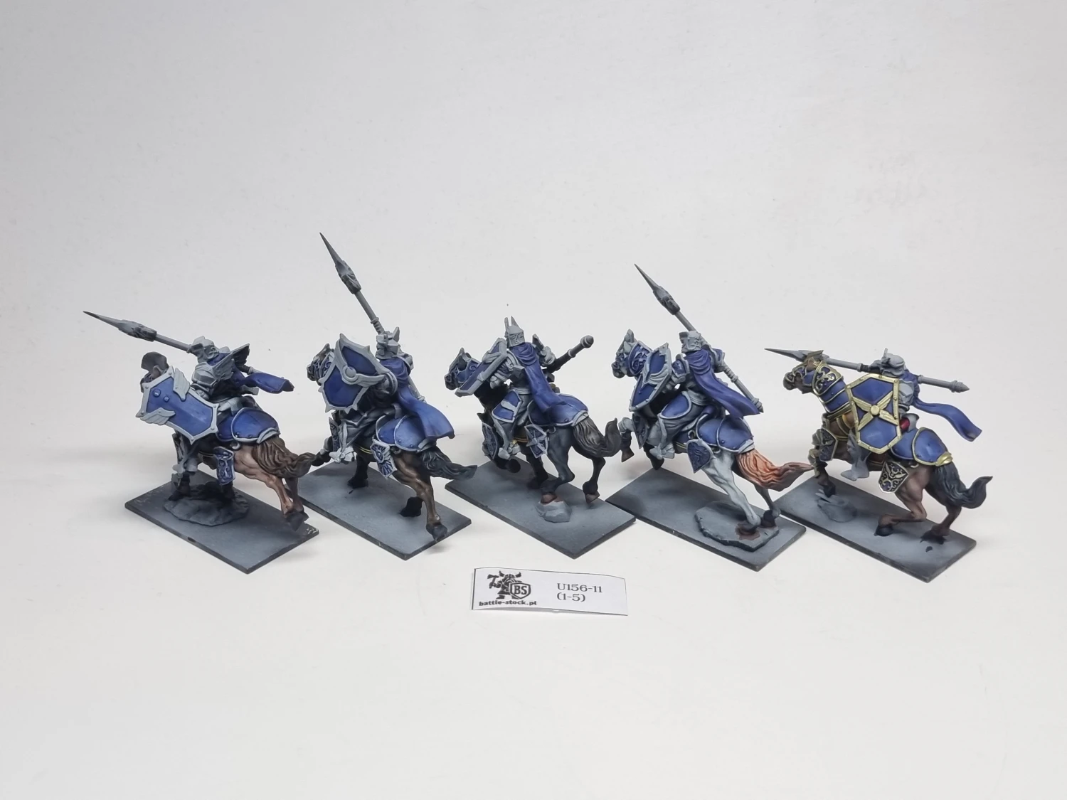 basilean paladin knights regiment