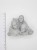 Spiramirabilis miniatures Moirae