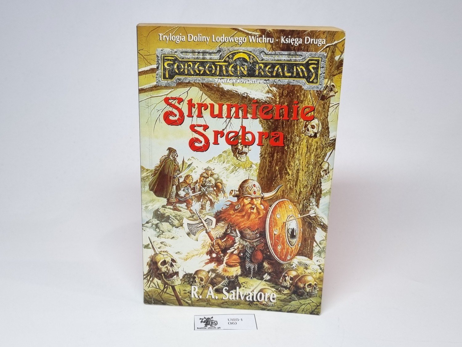 Forgotten Realms Strumienie Srebra