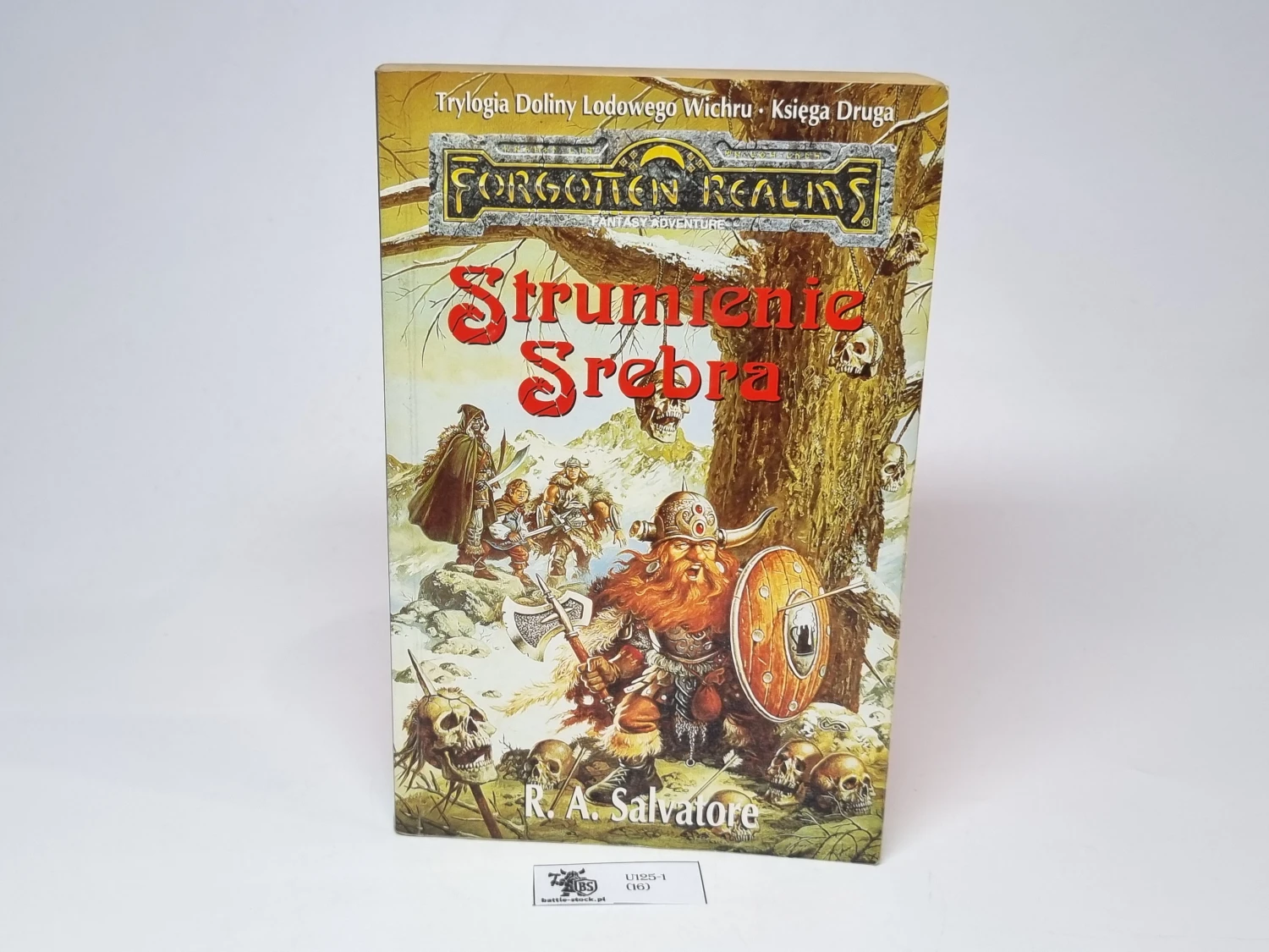 Forgotten Realms Strumienie Srebra