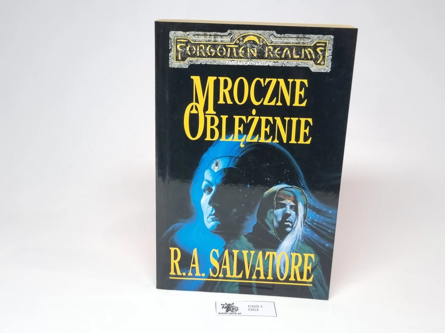 Forgotten Realms mroczne oblężenie